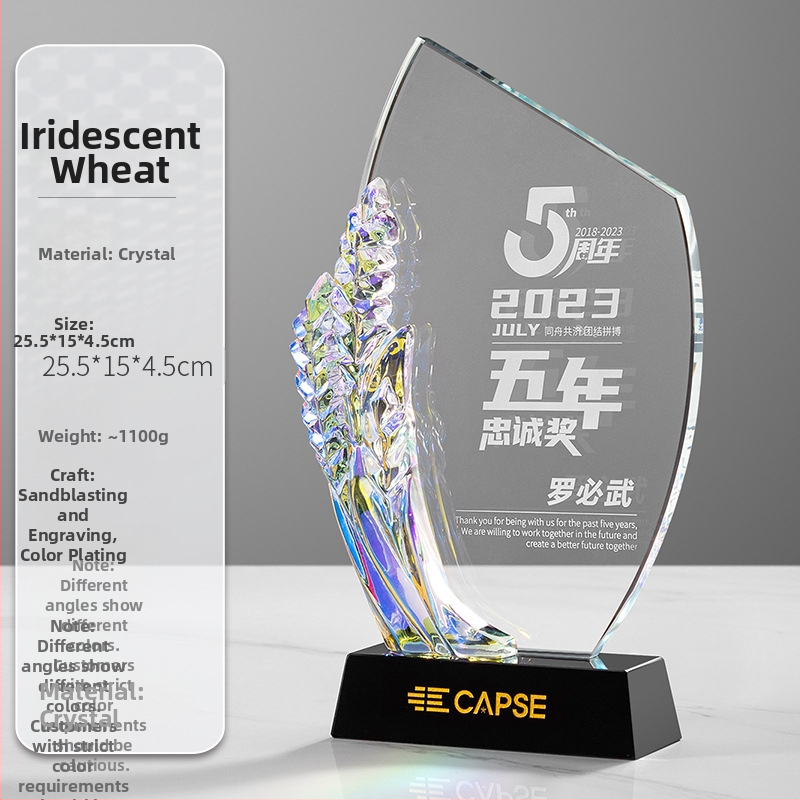 2024 m. krištolo trofėjaus kūrybinis trofėjus, išskirtinis darbuotojų garbės atminimo komandos apdovanojimas, metinis susitikimas, medalis, graviravimas