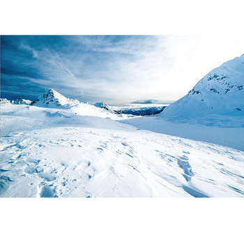 Ζωντανή ταπετσαρία τοίχου με φόντο, θέμα παραθαλάσσιας διακόσμησης, σαλόνι, διακοσμητική ζωγραφική, αυτοκόλλητα, μελέτη, χριστουγεννιάτικα αυτοκόλλητα, γενιά