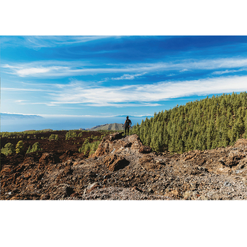 Ζωντανή ταπετσαρία τοίχου με φόντο, θέμα παραθαλάσσιας διακόσμησης, σαλόνι, διακοσμητική ζωγραφική, αυτοκόλλητα, μελέτη, χριστουγεννιάτικα αυτοκόλλητα, γενιά