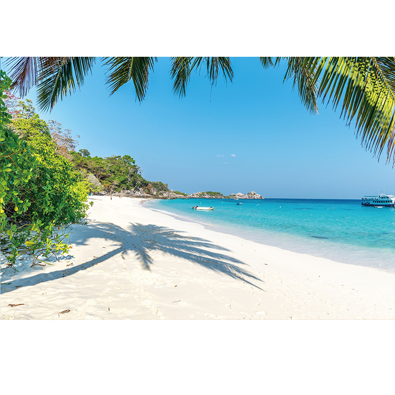 Élő háttérkép fali tapéta tengerparti témájú nappali dekoratív festés öntapadós matricák tanulmány karácsonyi matricák generáció