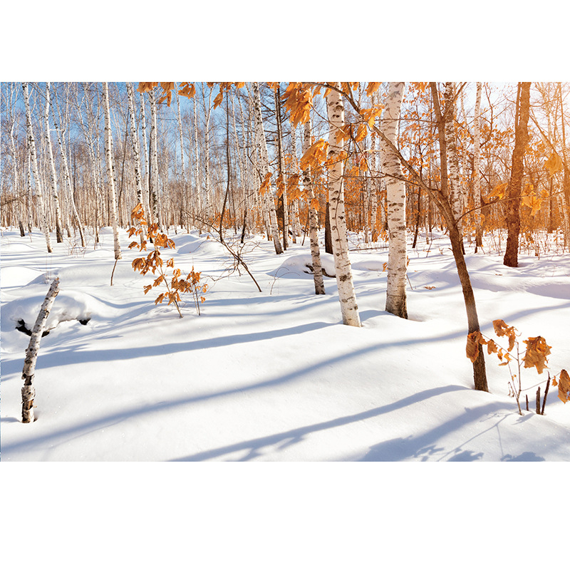 Élő háttérkép fali tapéta tengerparti témájú nappali dekoratív festés öntapadós matricák tanulmány karácsonyi matricák generáció
