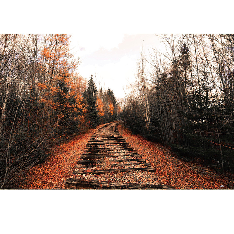 Élő háttérkép fali tapéta tengerparti témájú nappali dekoratív festés öntapadós matricák tanulmány karácsonyi matricák generáció