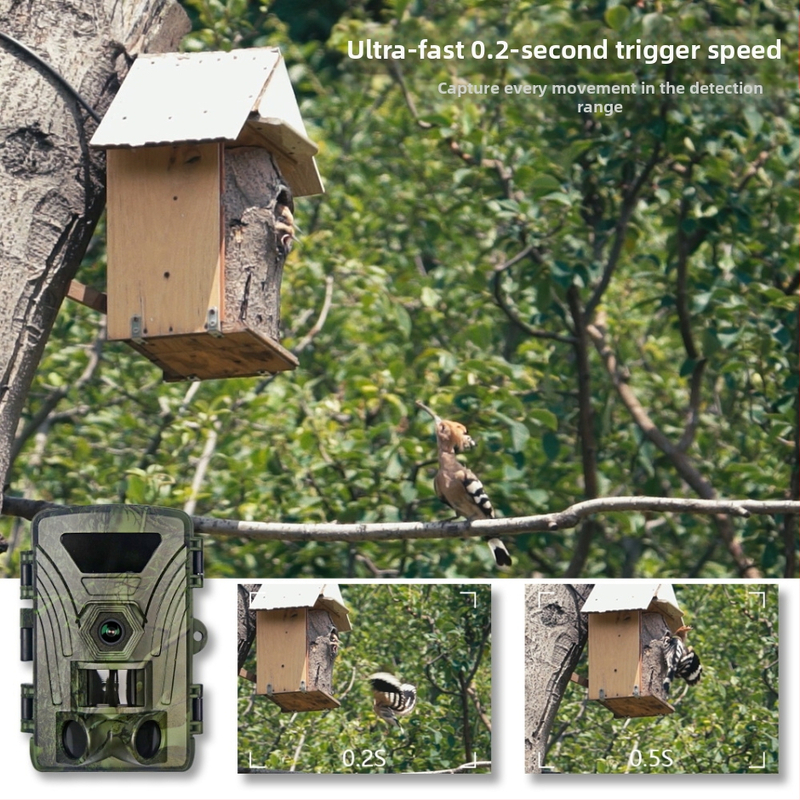 8K инфрачервена екшън камера Wifi Pr802W, външно наблюдение, наблюдение на животни, ден и нощ, фото и видео наблюдение