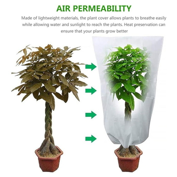 Tarpvalstybinė tiesioginė prekyba augalui, atsparus šalčiui, sustorintas neaustinis užvalkalas, atsparus užšalimui, raišteliu užtrauktuku, augalui, atspariam šalčiui, žieminis užvalkalas