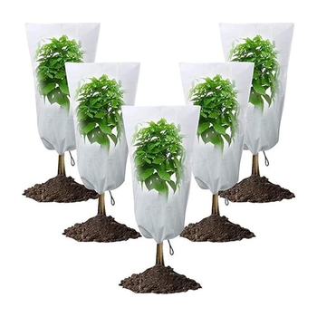 Tarpvalstybinė tiesioginė prekyba augalui, atsparus šalčiui, sustorintas neaustinis užvalkalas, atsparus užšalimui, raišteliu užtrauktuku, augalui, atspariam šalčiui, žieminis užvalkalas