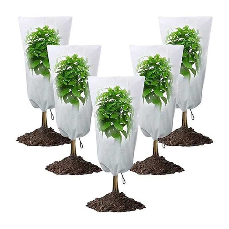 Tarpvalstybinė tiesioginė prekyba augalui, atsparus šalčiui, sustorintas neaustinis užvalkalas, atsparus užšalimui, raišteliu užtrauktuku, augalui, atspariam šalčiui, žieminis užvalkalas