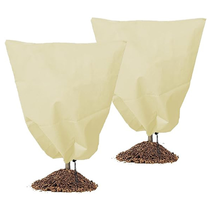 Tarpvalstybinė tiesioginė prekyba augalui, atsparus šalčiui, sustorintas neaustinis užvalkalas, atsparus užšalimui, raišteliu užtrauktuku, augalui, atspariam šalčiui, žieminis užvalkalas