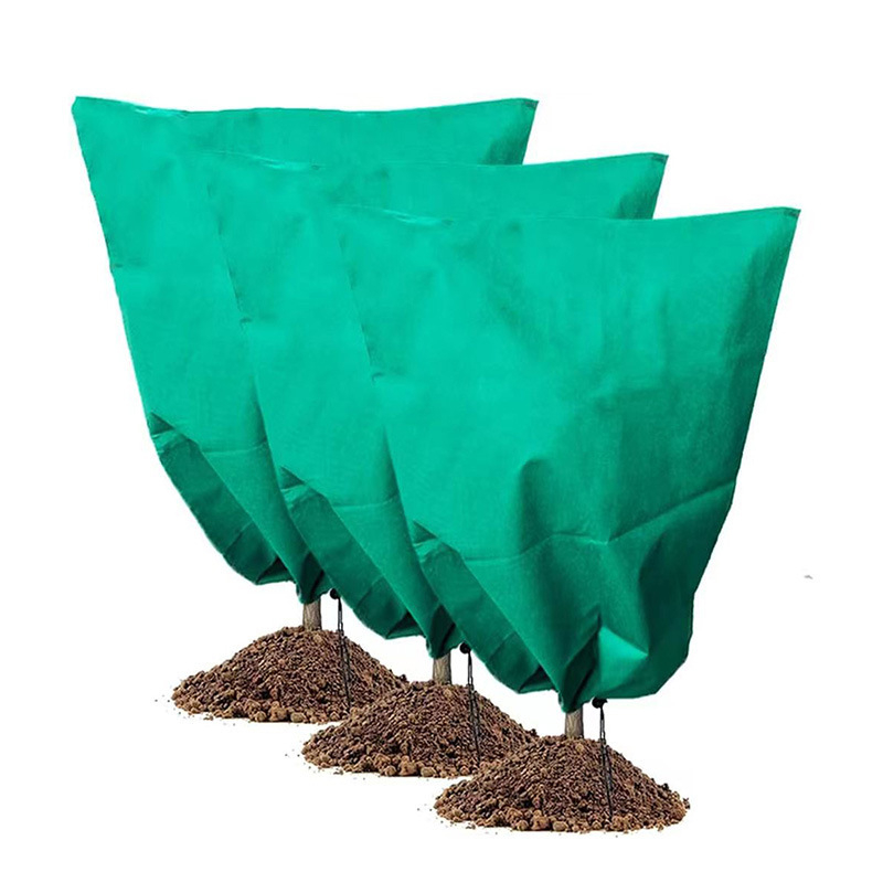 Tarpvalstybinė tiesioginė prekyba augalui, atsparus šalčiui, sustorintas neaustinis užvalkalas, atsparus užšalimui, raišteliu užtrauktuku, augalui, atspariam šalčiui, žieminis užvalkalas