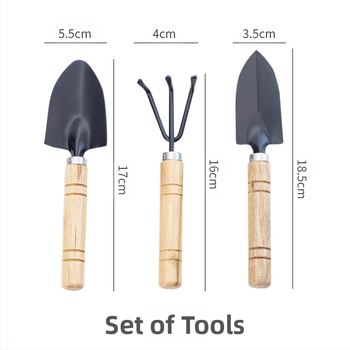 Sukulentų sodininkystės trijų dalių rinkinys šeimai, vazoninių gėlių įrankiai, gėlių sodinimo kastuvas, kastuvas, grėblys, birios žemės įrankių rinkinys