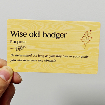 Φίλοι του Δάσους 40 Κάρτες Θετικών Κινήτρων 10,3*6cm Θετικοί και Αρνητικοί Φίλοι του Δάσους