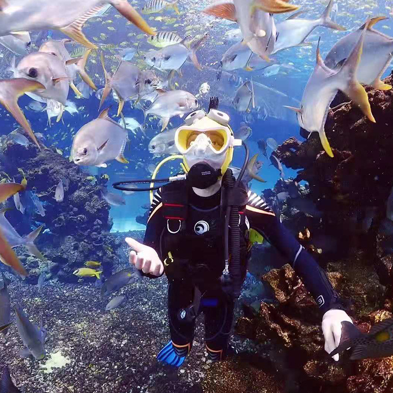 Pikkade varrukatega päikesekaitsekreemi professionaalne ujumistrikoo naiste ja meeste keha konservatiivne ühes tükis suured püksid sukeldumisülikonna meduusirõivaste tootjad hulgimüük