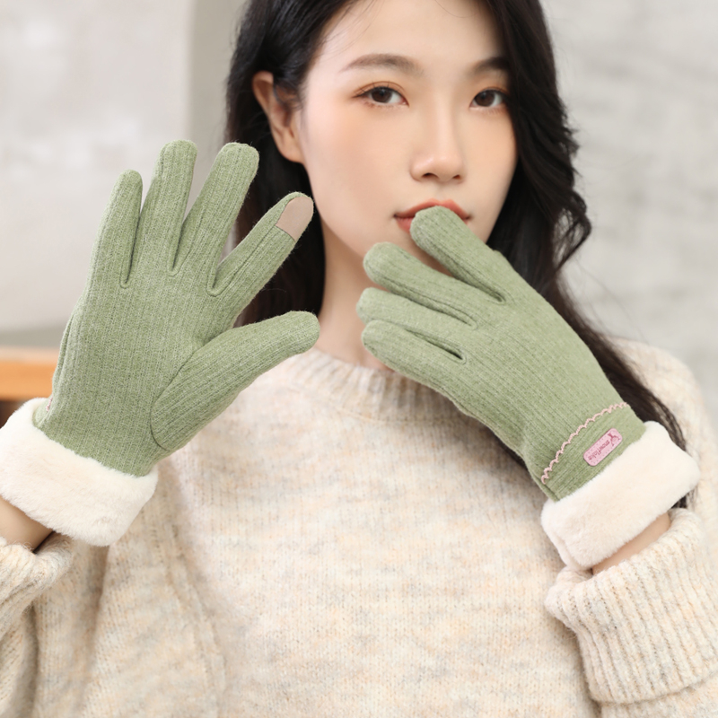 Saksa kindad Talvised naiste kevad- ja sügiskindad Saksa sametist õhukesed puuvillased jalgrattasõidukindad tuulekindlad soojad fliisvoodriga külmakindlad puutetundliku ekraaniga elektriauto kindad