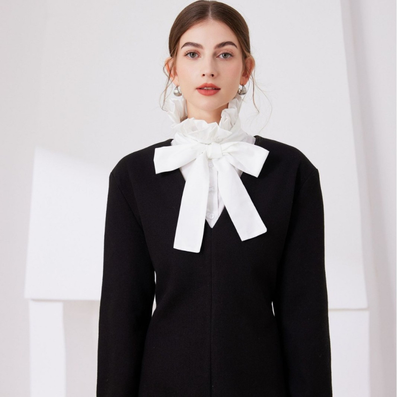 Tarpvalstybinė apykaklė su raukiniais Europos literatūros rūmuose, apykaklė su netikra apykakle, dramos vaidmuo, spektaklio rekvizitas, aksesuarai