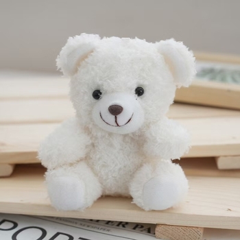 Σγουρή τσάντα μπρελόκ με αρκουδάκι, αξεσουάρ, βελούδινο παιχνίδι, χαριτωμένο μπρελόκ, στολίδι δώρου για ζευγάρια