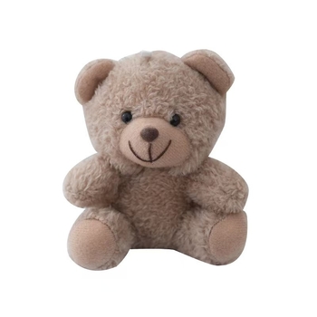 Σγουρή τσάντα μπρελόκ με αρκουδάκι, αξεσουάρ, βελούδινο παιχνίδι, χαριτωμένο μπρελόκ, στολίδι δώρου για ζευγάρια