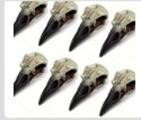 Piiriülesed uued mustad kõrge elastsusega vastupidavad kummist kõõluste tüdrukute lihtsad retro varesepea aksessuaarid naistele mõeldud universaalsed aksessuaarid