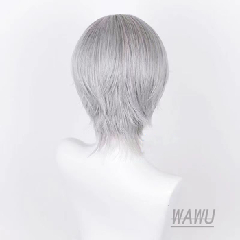 Tawuya Love of Light and Night Charlie Sue Chuu cosplay аниме перука сребристосива средна пътека скалп отгоре