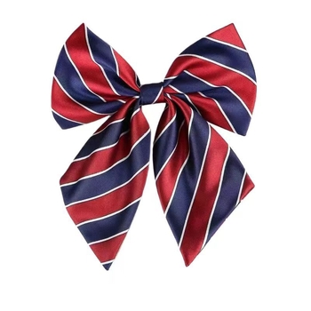 Цветно раирано бизнес облекло за мъже и жени, работна бяла риза с панделка, съответстваща вратовръзка, универсална банкова вратовръзка