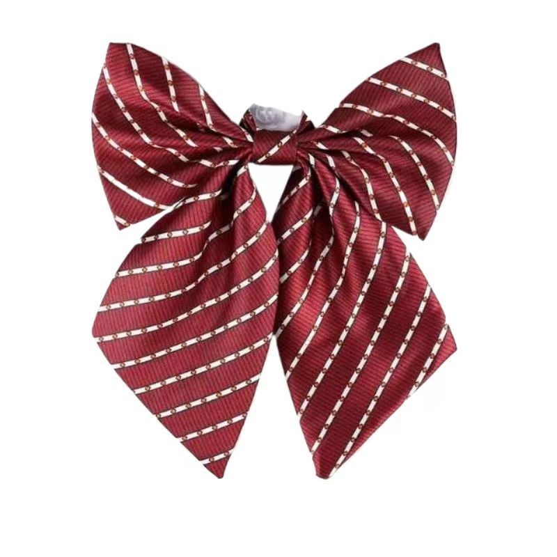 Spalvoti dryžuoti dalykiniai vyriški ir moteriški darbo marškiniai su kaspino apykakle ir balti derantys kaklaraiščiai, bankiniai kaklaraiščiai