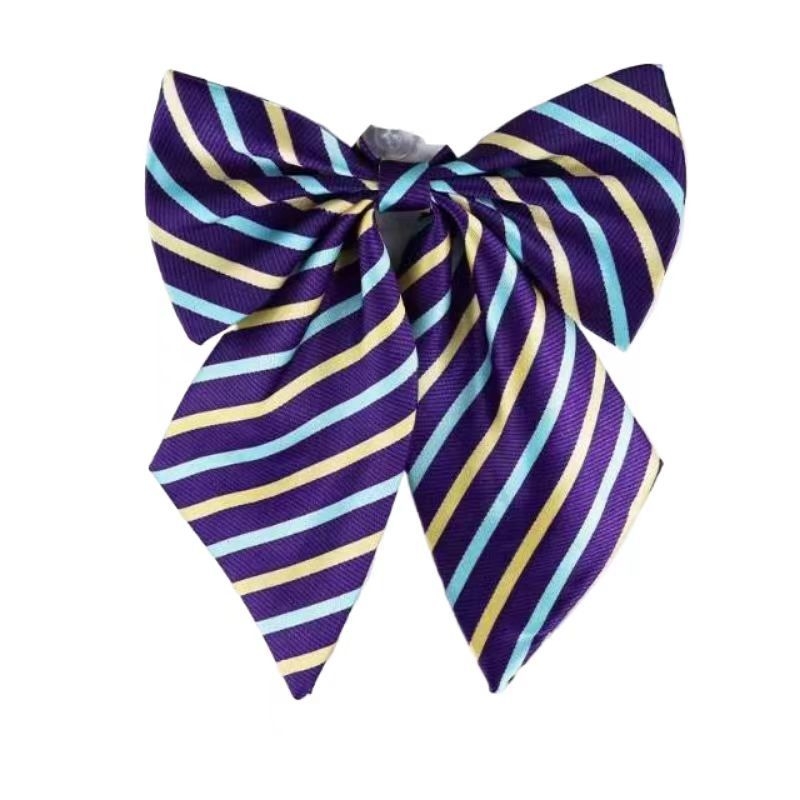 Spalvoti dryžuoti dalykiniai vyriški ir moteriški darbo marškiniai su kaspino apykakle ir balti derantys kaklaraiščiai, bankiniai kaklaraiščiai