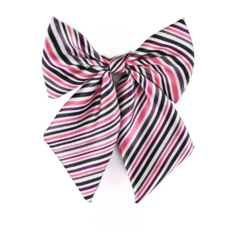 Spalvoti dryžuoti dalykiniai vyriški ir moteriški darbo marškiniai su kaspino apykakle ir balti derantys kaklaraiščiai, bankiniai kaklaraiščiai