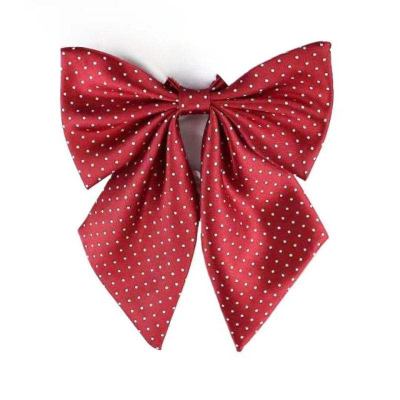 Spalvoti dryžuoti dalykiniai vyriški ir moteriški darbo marškiniai su kaspino apykakle ir balti derantys kaklaraiščiai, bankiniai kaklaraiščiai