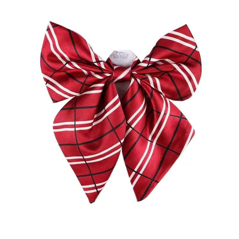 Spalvoti dryžuoti dalykiniai vyriški ir moteriški darbo marškiniai su kaspino apykakle ir balti derantys kaklaraiščiai, bankiniai kaklaraiščiai