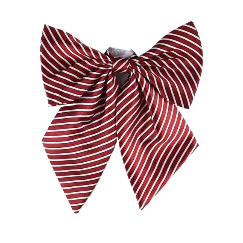 Spalvoti dryžuoti dalykiniai vyriški ir moteriški darbo marškiniai su kaspino apykakle ir balti derantys kaklaraiščiai, bankiniai kaklaraiščiai