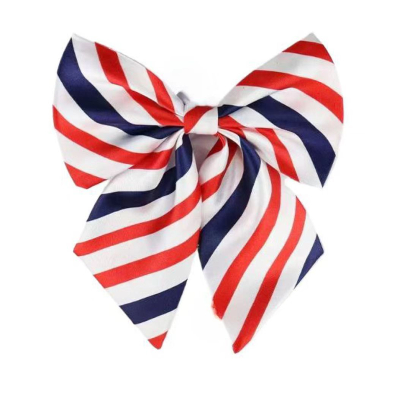 Spalvoti dryžuoti dalykiniai vyriški ir moteriški darbo marškiniai su kaspino apykakle ir balti derantys kaklaraiščiai, bankiniai kaklaraiščiai