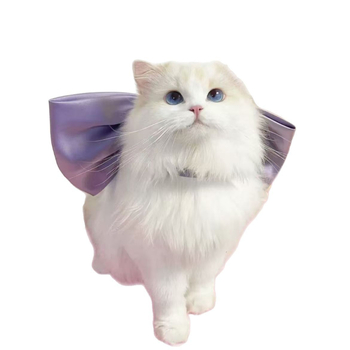 Χαριτωμένο γλυκό κολιέ Tom Cat με μωβ φιόγκο και λαιμόκοψη Girlfriend cos Tom Dream Cat