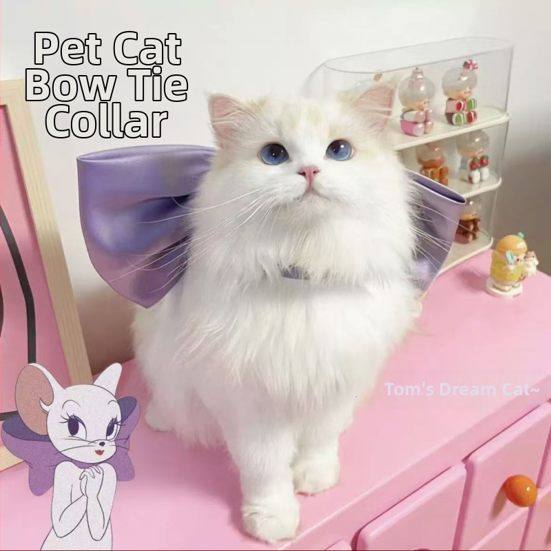 Aranyos Édes Tom Macska Lila Masni Nyaklánc Barátnő mert Tom Álommacska Nyaklánc