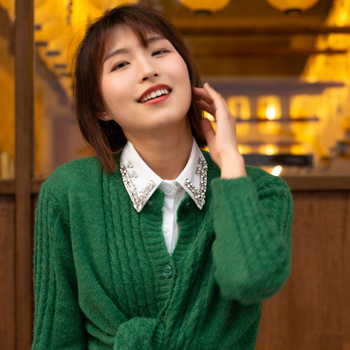 Есенно-зимен бутиков популярен корейски стил стъклен диамант модно дамско облекло универсална фалшива яка риза до половин дължина фалшива яка за жени