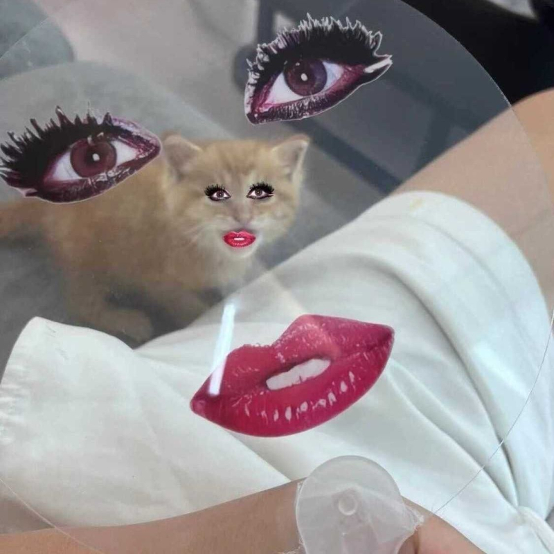 Piroska könyvkoncert Ladygagával Klassz nyári rajongók Ajándékok küldése barátoknak Bemelegítő dobókocka-rajongók