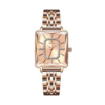 Νέο ζωντανό χαλύβδινο μπάντα αδιάβροχο γυναικείο ρολόι μόδας διαμαντένιο ρολόι ιδιοσυγκρασίας γυναικείο ρολόι έκρηξης χονδρικής ρολόι χαλαζία