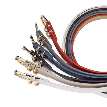 2024 nyári robbanások koreai stílusú kis friss ruha dekoratív vékony öv női divat egyszerű tűs csattal ellátott öv nőknek