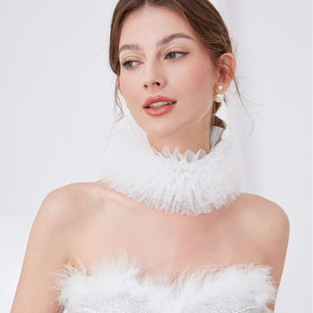 Διασυνοριακό Temu Fluffy Mesh Ψεύτικο Κολάρο Ρετρό Αξεσουάρ Κομψό Κασκόλ Υψηλής Ποιότητας Ομαδικό Κοσμήματα Λαιμού με Παράσταση