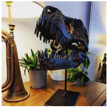 Ρετρό Αμερικανικό Κρανίο Μελέτης Ρητίνης Χειροτεχνίες Συλλέκτης Δημιουργικά Στολίδια Ρητίνης από Κεφάλι Δεινοσαύρου