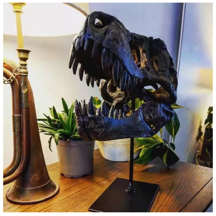 Retro amerikai koponya tanulmány gyantából készült kézműves gyűjtő kreatív dinoszaurusz fej gyantából készült díszek kézműves