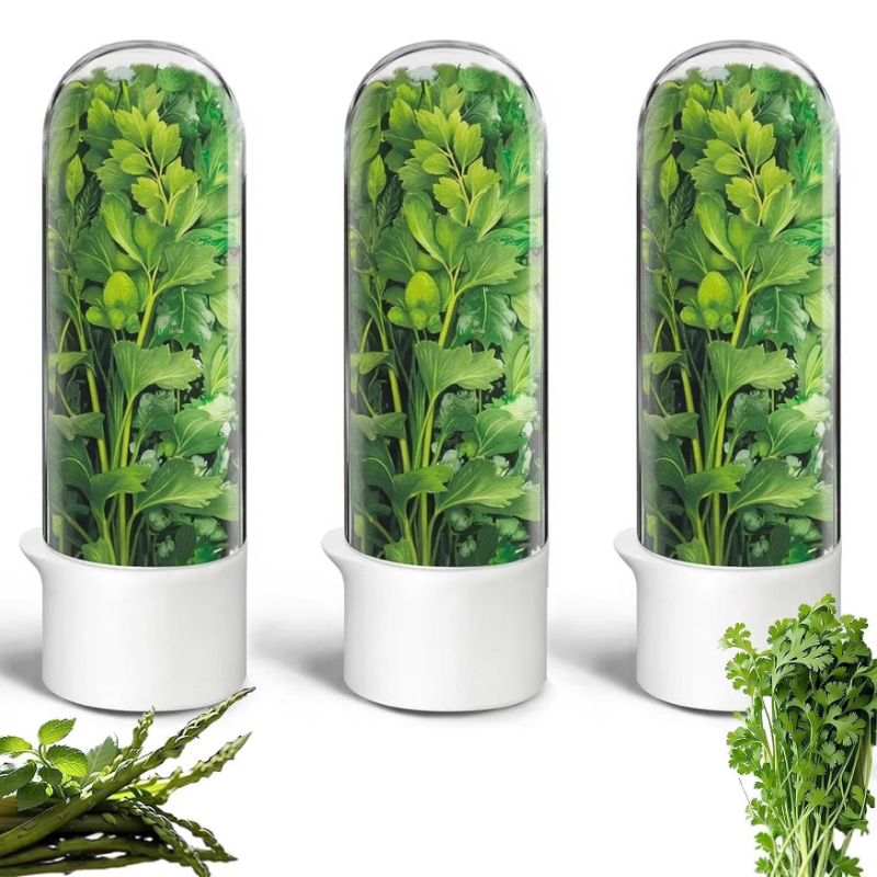 Naujas tarpvalstybinis vanilės šviežių daržovių laikymo puodelis, antros kartos didelė talpa