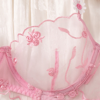 Piiriülene tüdruk, roosa, armas lilleline tikitud rinnahoidja, üliõhuke, läbipaistev, ahvatlev, flirtiv, seksikas, intiimne, 123