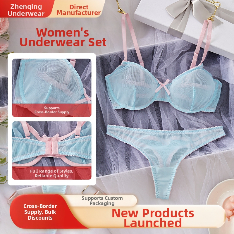 Ευρωπαϊκό και αμερικανικό διασυνοριακό πλέγμα με μπλε λεπτό ιμάντα ώμου και ημιδιαφανές σέξι σετ εσωρούχων με λεπτή δαντέλα, χονδρικής