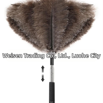 Ištraukiama ilga stručio plunksnų šluostė, buitinė, nerūdijančio plieno, ilga rankena, lubų šluota, gamyklos išparduotuvė