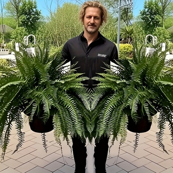 21 levelű bostoni páfrány virágkompozíció dekoráció határokon átnyúló új műnövény bostoni páfrány zöld növényzet