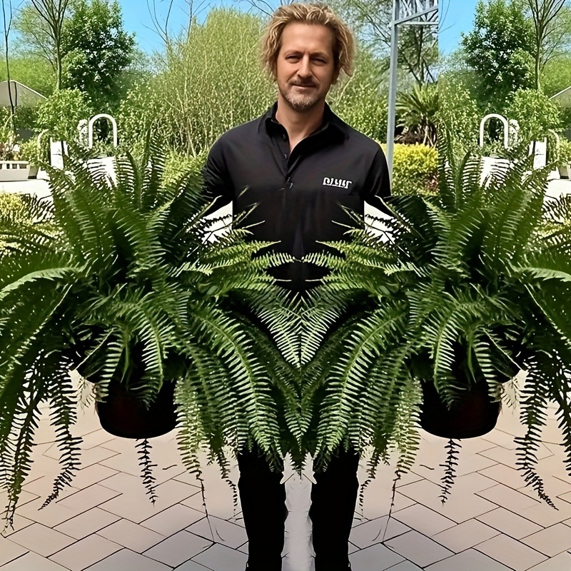 21 levelű bostoni páfrány virágkompozíció dekoráció határokon átnyúló új műnövény bostoni páfrány zöld növényzet