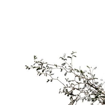 Интернет знаменитост Ins Style Бяла вертикална венецианска завеса мечта Спалня Балкон Бял параван Прозрачна пропусклива завеса мечта