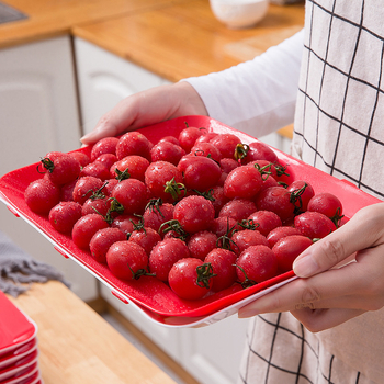 Δίσκος διατήρησης φρέσκων σε ηλεκτρική σκούπα για οικιακό ψυγείο που στοιβάζεται Φιλμ σφράγισης τροφίμων Πρόληψη τροφίμων ΔΟΚΙΜΑΣΤΕ