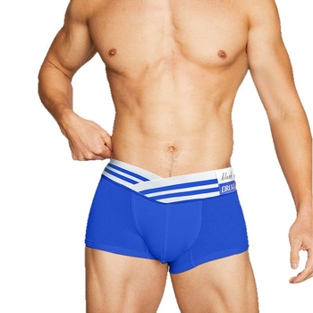 Seksikad kõrge lõikega meeste aluspüksid, valged vöötkoodiga autologoga tipptasemel aluspesu, läbipaistvad õmblusteta fitness-mugavad püksid