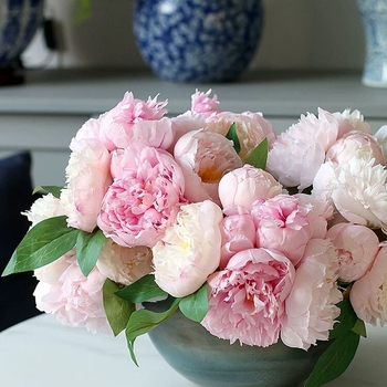 Halhatatlan szellem, bazsarózsa csokrok, művirág csokrok, nappali asztaldíszek, esküvői dekorációk, művirág kellékek