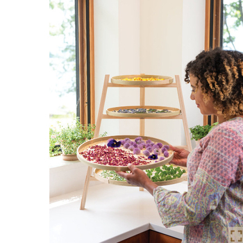 „Amazon“ makaronų žolelių džiovyklė, spagečių ir vanilės džiovinimo lėkštė, vaisių ir daržovių džiovinimo lėkštė