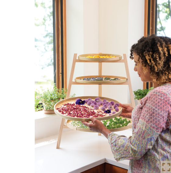 „Amazon“ makaronų žolelių džiovyklė, spagečių ir vanilės džiovinimo lėkštė, vaisių ir daržovių džiovinimo lėkštė